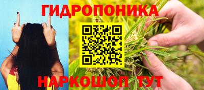 ALPHA PVP Гусев